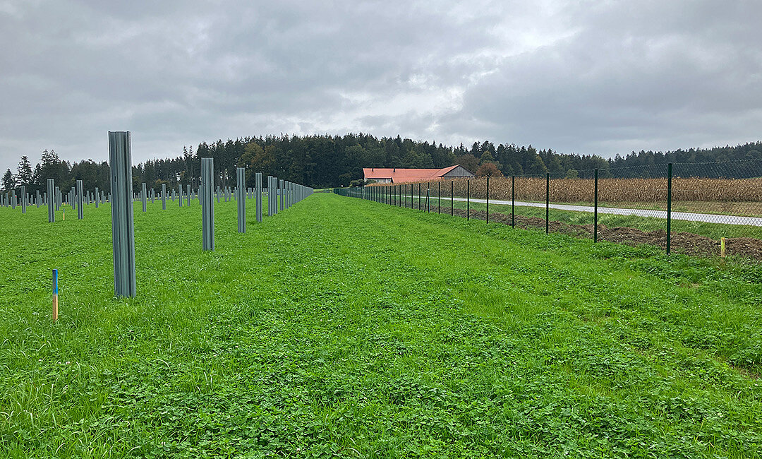 Die Bauarbeiten am EWS Sonnenfeld in der Gemeinde Pischelsdorf am Engelbach in Oberösterreich haben begonnen. franz